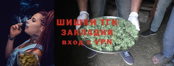 прущие грибы Алексеевка
