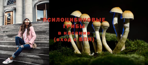 спайс Алзамай