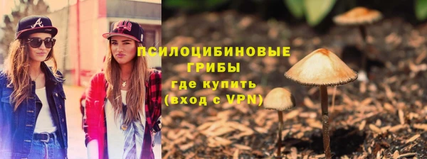 прущие грибы Алексеевка
